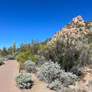 Meet your Posher, Perla